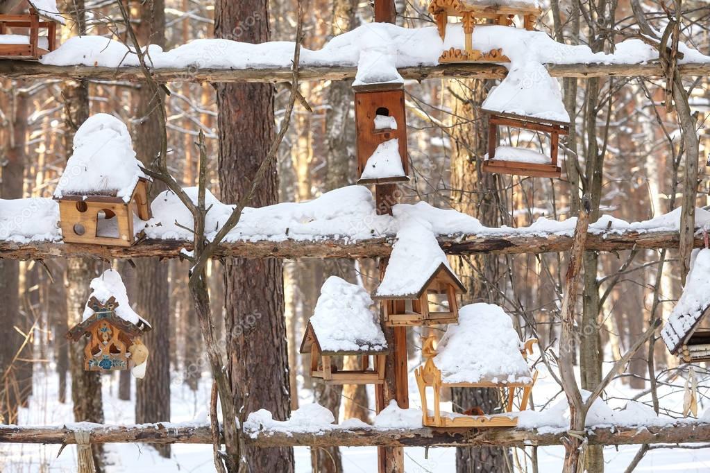 Wooden bird feeders, tree houses in winter forest