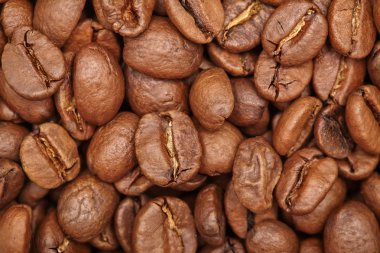 Grup kahverengi kahve taneleri arka plan, makro, yakın çekim