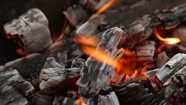 Burning coals, glowing charcoal and flame in barbecue grill — Stock Video