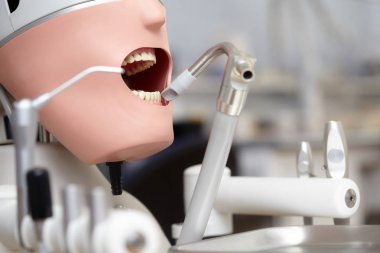 Manken veya dummy diş fakülteler eğitim diş hekimi öğrenciler için