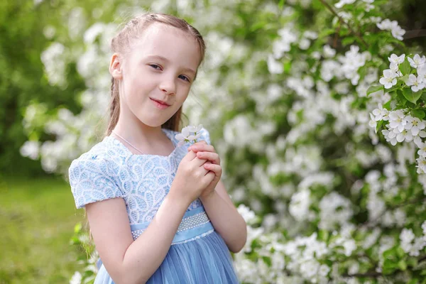 Cute little girl in blooming apple tree garden at spring — Stock Photo, Image
