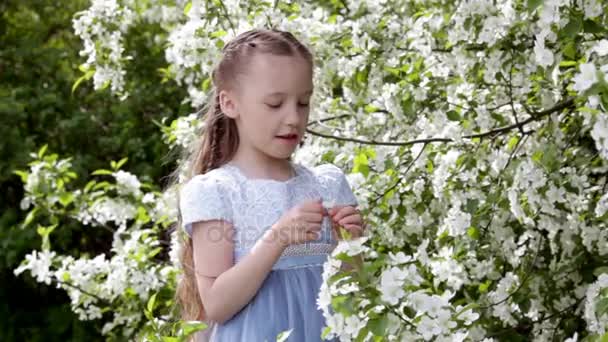 Linda niña en el jardín de manzanos en flor en primavera — Vídeos de Stock