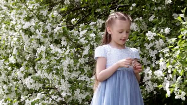 Nettes kleines Mädchen im blühenden Apfelbaumgarten im Frühling — Stockvideo