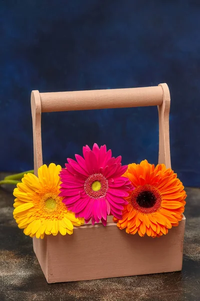 Flores coloridas de margarida gerbera em caixa de madeira, fundo azul — Fotografia de Stock
