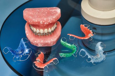 İnsan çene veya diş modeli ile metal diş diş telleri kablolu
