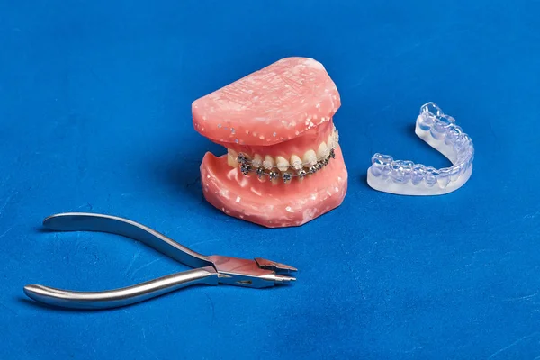 Modèle orthodontique et ensemble d'outils orthodontiques en métal médical — Photo