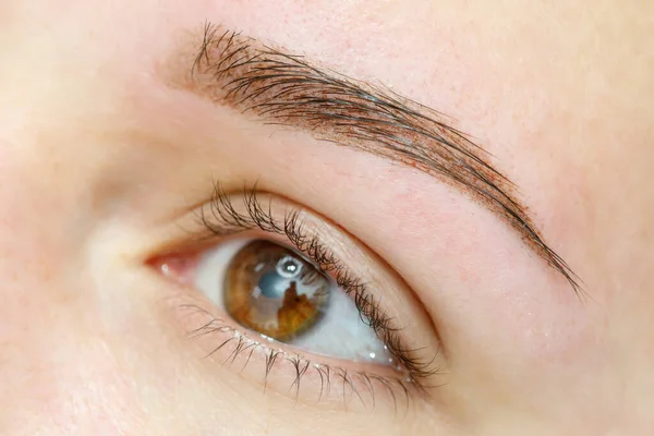 Resultat av permanent makeup, tatuering av ögonbryn — Stockfoto