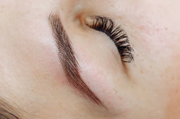 Result of permanent makeup, tattooing of eyebrows — Stock Photo, Image