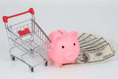 Pink piggy bank style money box, dollar banknotes and mini shopping cart on gray background