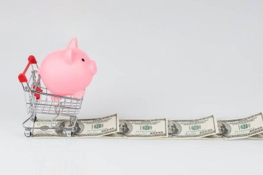 Pink piggy money box in mini shopping cart on road of dollar banknotes