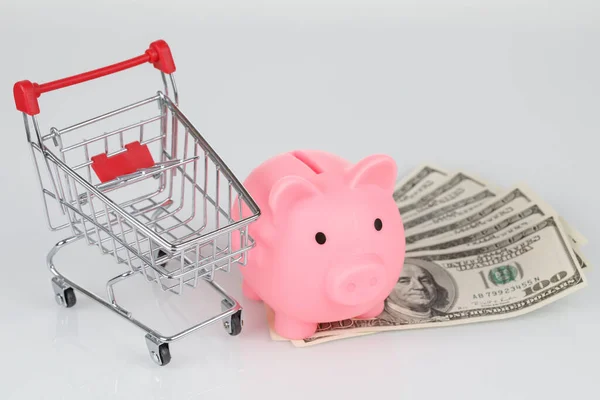 Roze Spaarpot Stijl Spaarpot Dollar Bankbiljetten Mini Winkelwagen Grijze Achtergrond — Stockfoto
