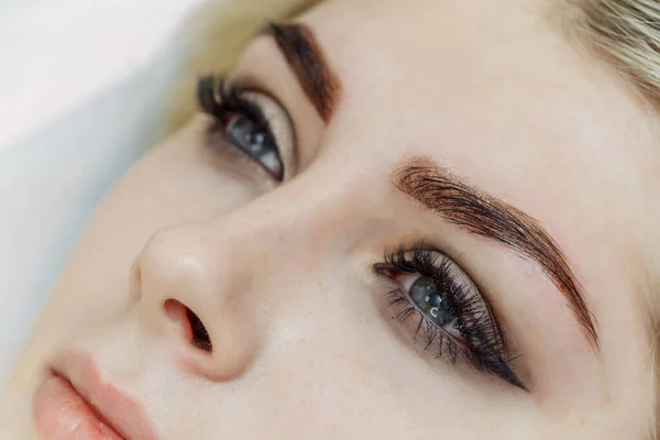 Result Permanent Makeup Tattooing Eyebrows Beauty Salon — Stock Photo, Image