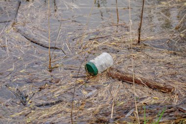 Nehirde plastik ve şişe, çöp kirliliği kavramı