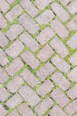 Çim taş zemin doku kaplama tasarım