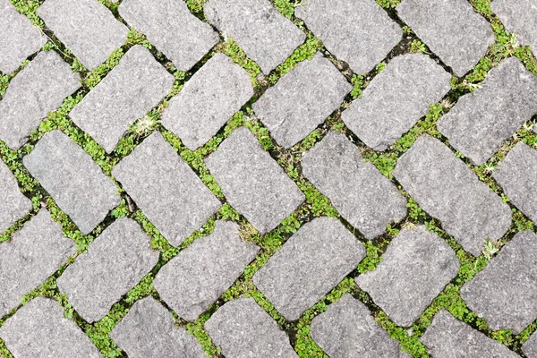잔디 돌 바닥 텍스처 포장 디자인 — 스톡 사진