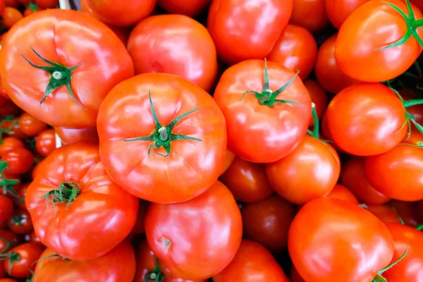 Nahaufnahme von frischen, saftigen, reifen Tomatenstapeln. Lycopin und Antioxidans in der Fruchternährung sind gut für die Gesundheit und die Haut. flache Lage — Stockfoto