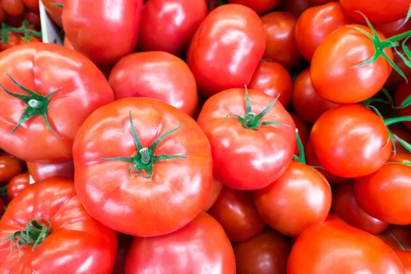 Nahaufnahme von frischen, saftigen, reifen Tomatenstapeln. Lycopin und Antioxidans in der Fruchternährung sind gut für die Gesundheit und die Haut. flache Lage — Stockfoto