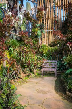 güzel tropikal Asya tarzı ahşap sandalye, beton kaldırım ve bambu duvar ile yeşil kırmızı renk Bahçe fikri ile