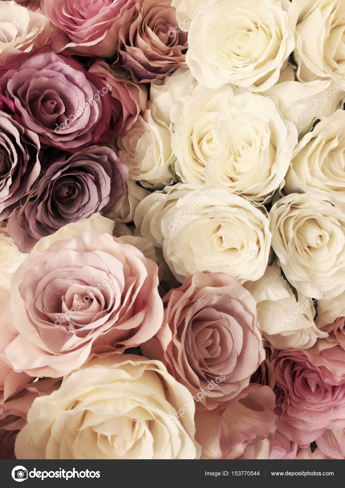 Hoa là một đề tài trang trí không bao giờ cũ. Màu hồng tươi sáng và độc đáo của những bông hoa đầy dịu dàng này sẽ mang lại một không gian sống động và thoải mái cho ngôi nhà của bạn.