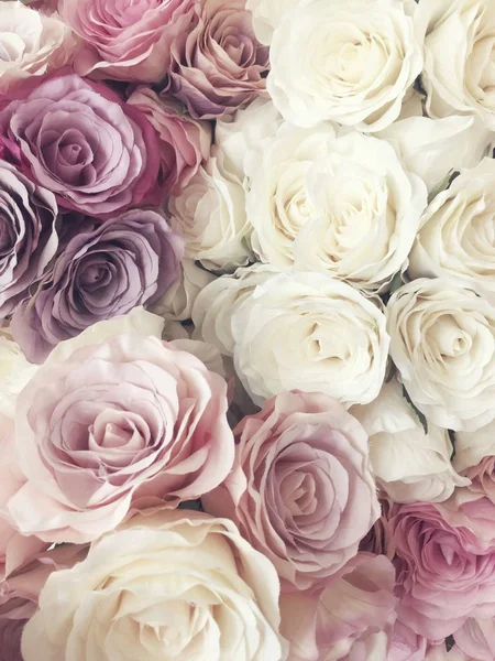 Prachtige vintage Rose achtergrond. witte, roze, paars, violet, crème kleur boeket bloemen. Elegante stijl floral. Stockafbeelding