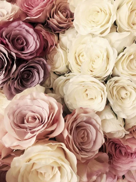 Prachtige vintage Rose achtergrond. witte, roze, paars, violet, crème kleur boeket bloemen. Elegante stijl floral. Stockfoto