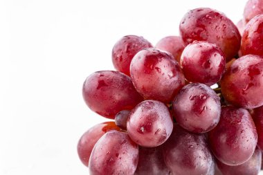 Mor üzüm asma üzerinde