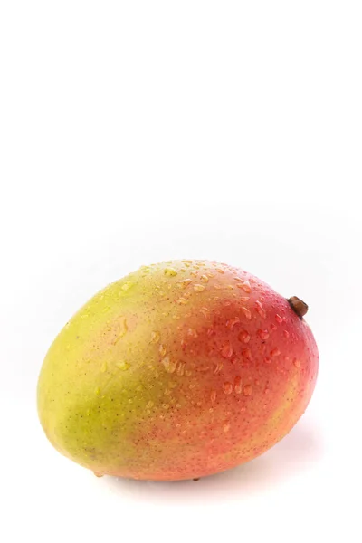 Un intero mango su uno sfondo bianco — Foto Stock