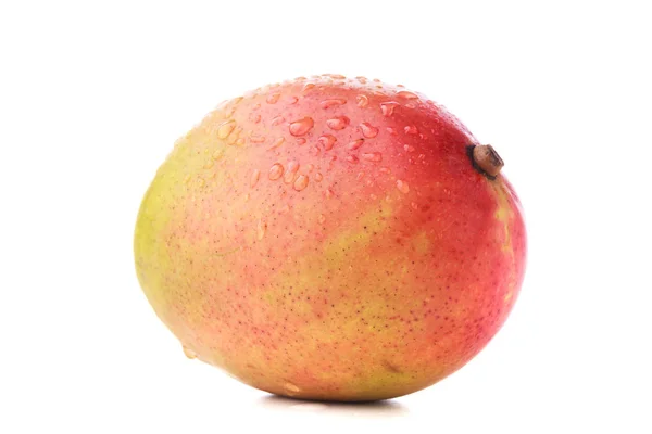 Цілий червоно-жовтий манго — стокове фото
