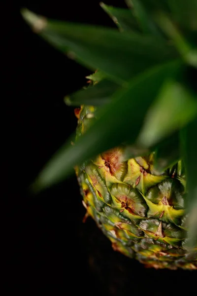 Bütün taze ananas Üstten Görünüm