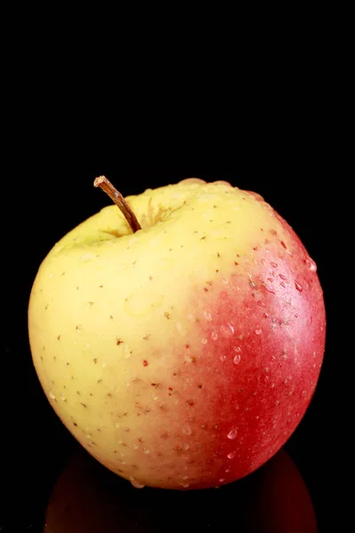 Uma maçã rosa e amarela inteira — Fotografia de Stock