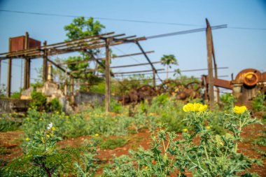 hurdalık şeker kamışı fabrika eski