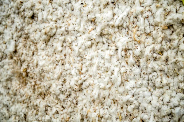 Material de lana de algodón suave natural — Foto de Stock