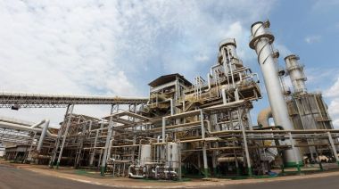 Sanayi şeker kamışı