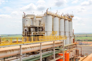 Sanayi şeker kamışı