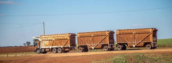 Sugar cane transporter — Stock Photo, Image