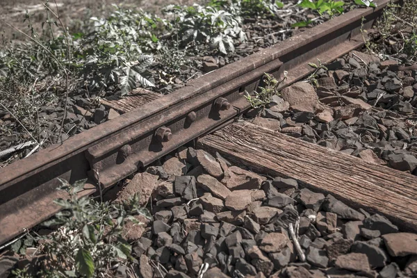 Tren hattı tren — Stok fotoğraf