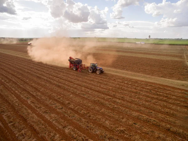 Champ de plantation tracteur arachide — Photo