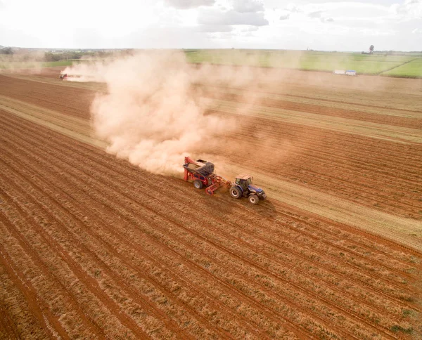 Pinda trekker plantage-veld — Stockfoto