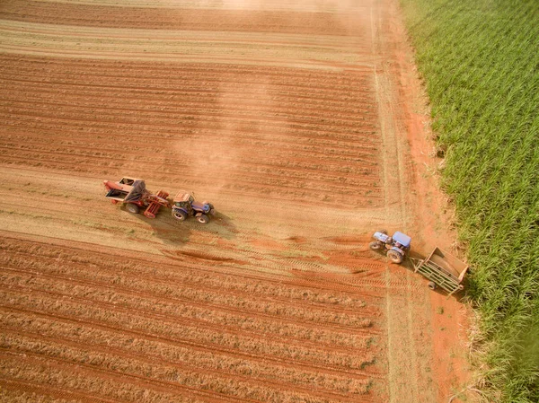 Pinda trekker plantage-veld — Stockfoto