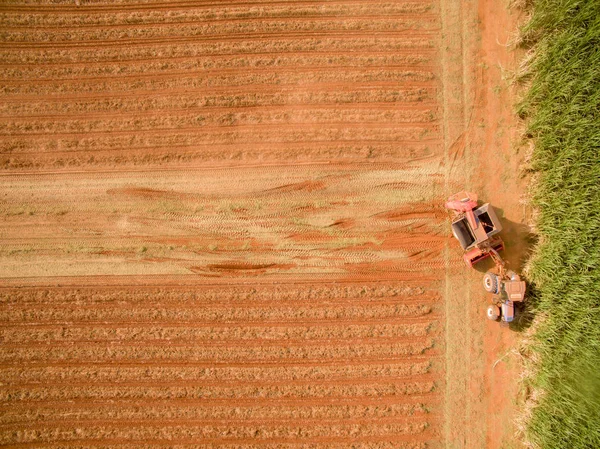 Арахисовое тракторное поле — стоковое фото