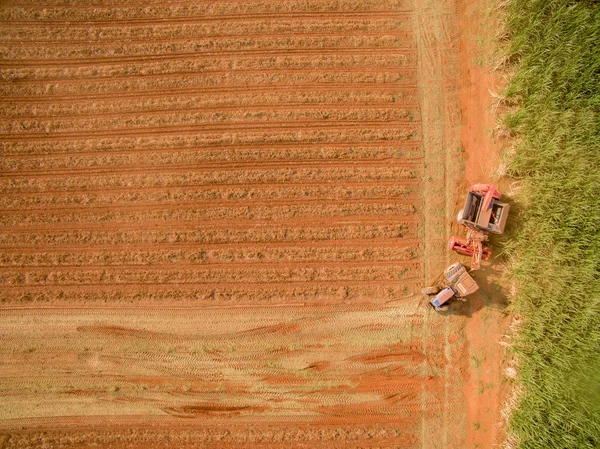 Orzechowe ciągnika plantacji pola — Zdjęcie stockowe