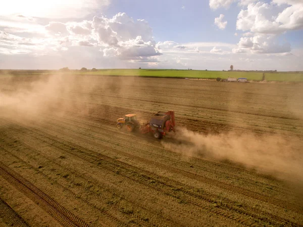 Pinda trekker plantage-veld — Stockfoto