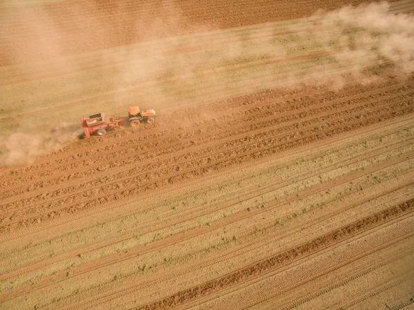 Campo de plantación de tractor de maní — Foto de Stock