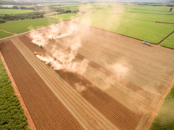 Pinda trekker plantage-veld — Stockfoto