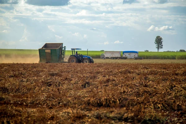 Arašídovou traktor plantáž pole — Stock fotografie