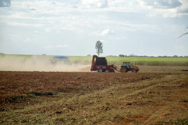 Campo de plantación de tractor de maní — Foto de Stock