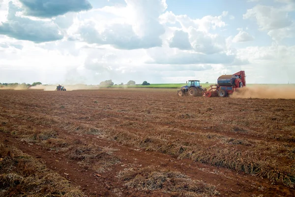 Campo di piantagione del trattore arachidi — Foto Stock