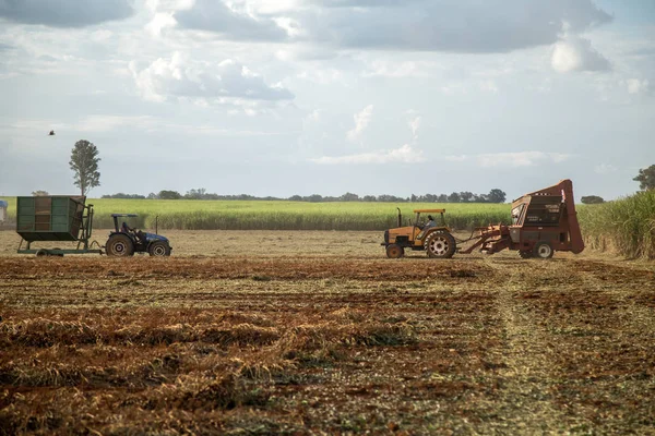 Arašídovou traktor plantáž pole — Stock fotografie