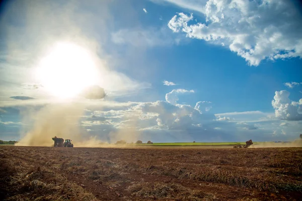 Champ de plantation tracteur arachide — Photo