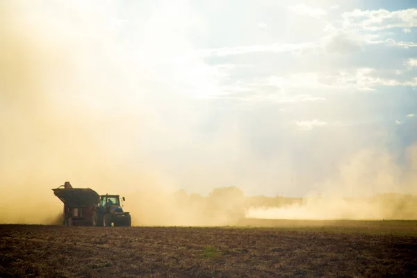 Arašídovou traktor plantáž pole — Stock fotografie